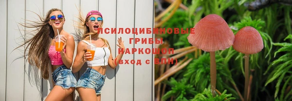 spice Балабаново