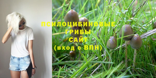 бошки Баксан