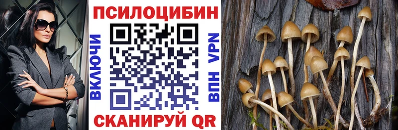 Галлюциногенные грибы мицелий  где продают   Кубинка 